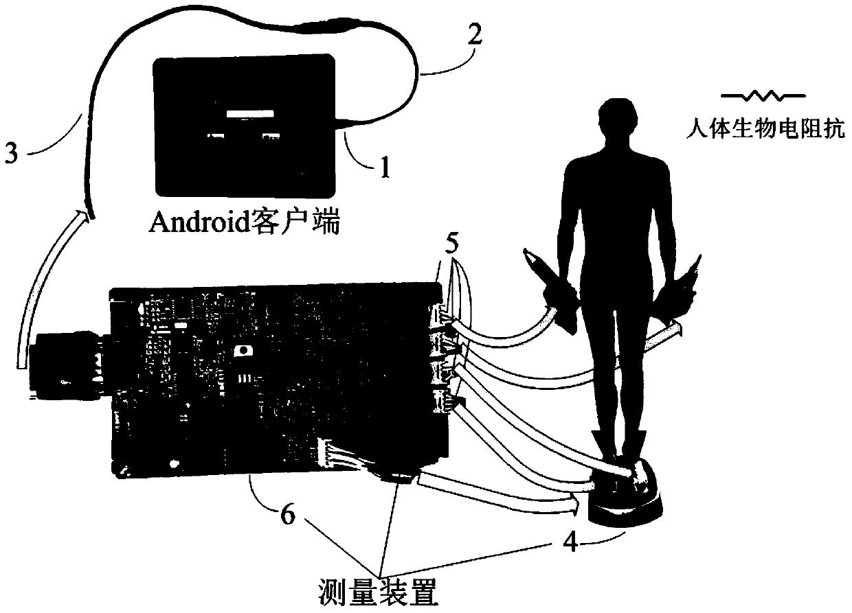 Human body composition information system based on Android client side