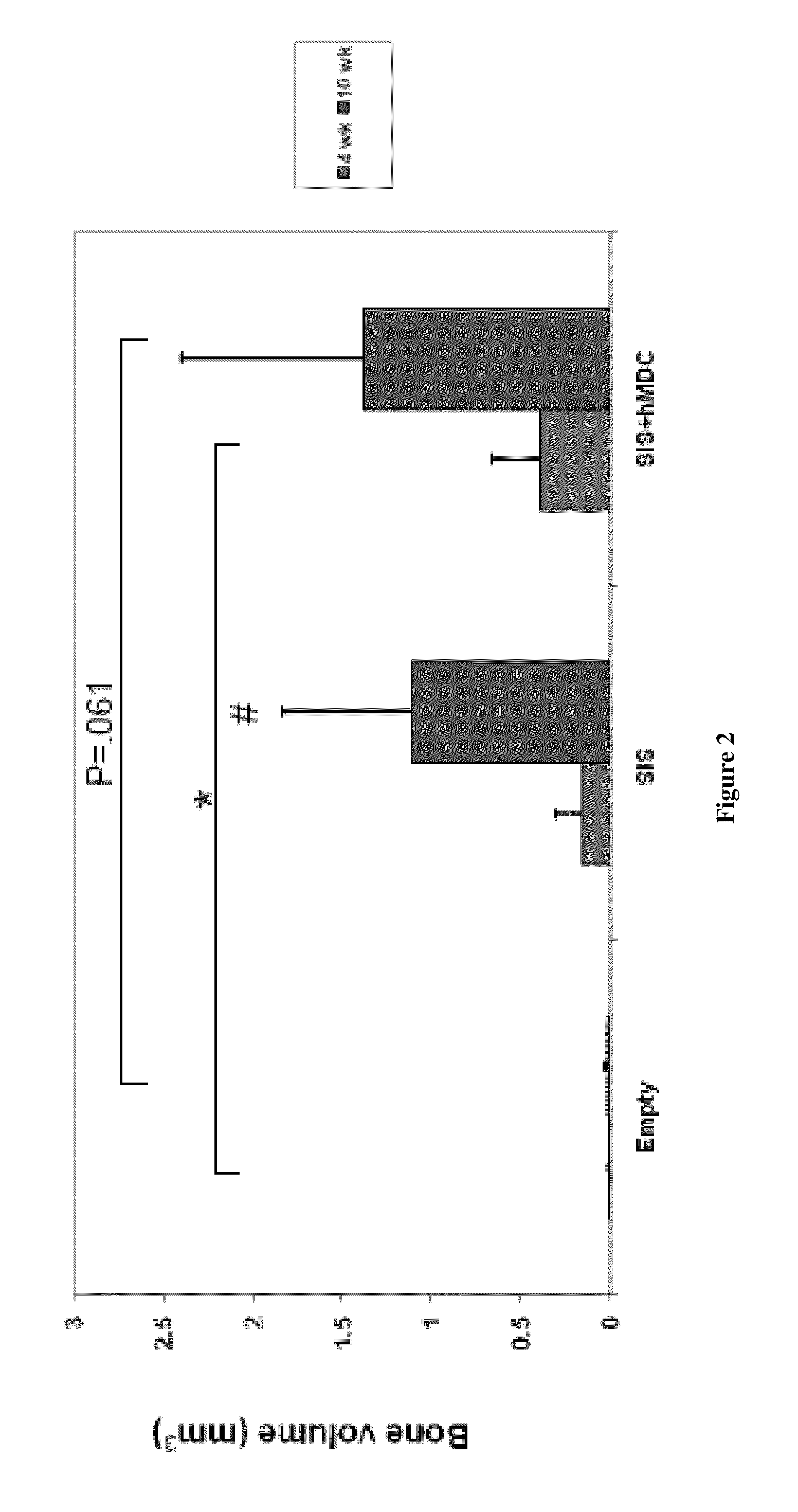 Bone augmentation utilizing muscle-derived progenitor compositions in biocompatible matrix, and treatments thereof