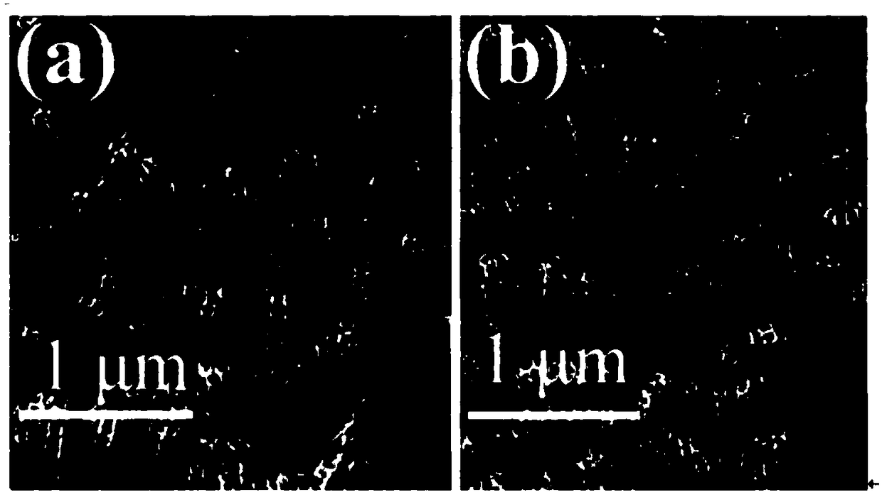 Electrochemical method for self-doping modification of titanium dioxide photo-catalyst