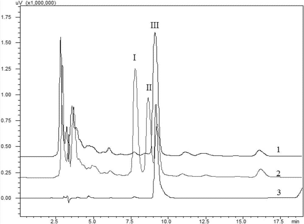 Escherichia coli for expressing hydroxytyrosol and hydroxytyrosol glucoside and construction method and application thereof