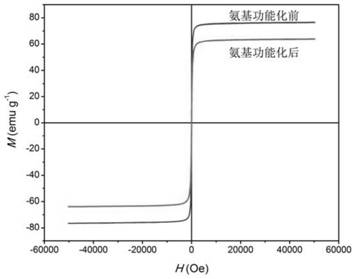 A kind of amino functionalized magnetic ferric iron tetroxide nanoparticles and preparation method thereof