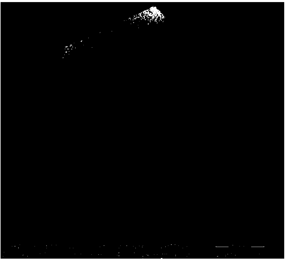 Method for quickly preparing gradient cemented carbide by adding rare-earth elements