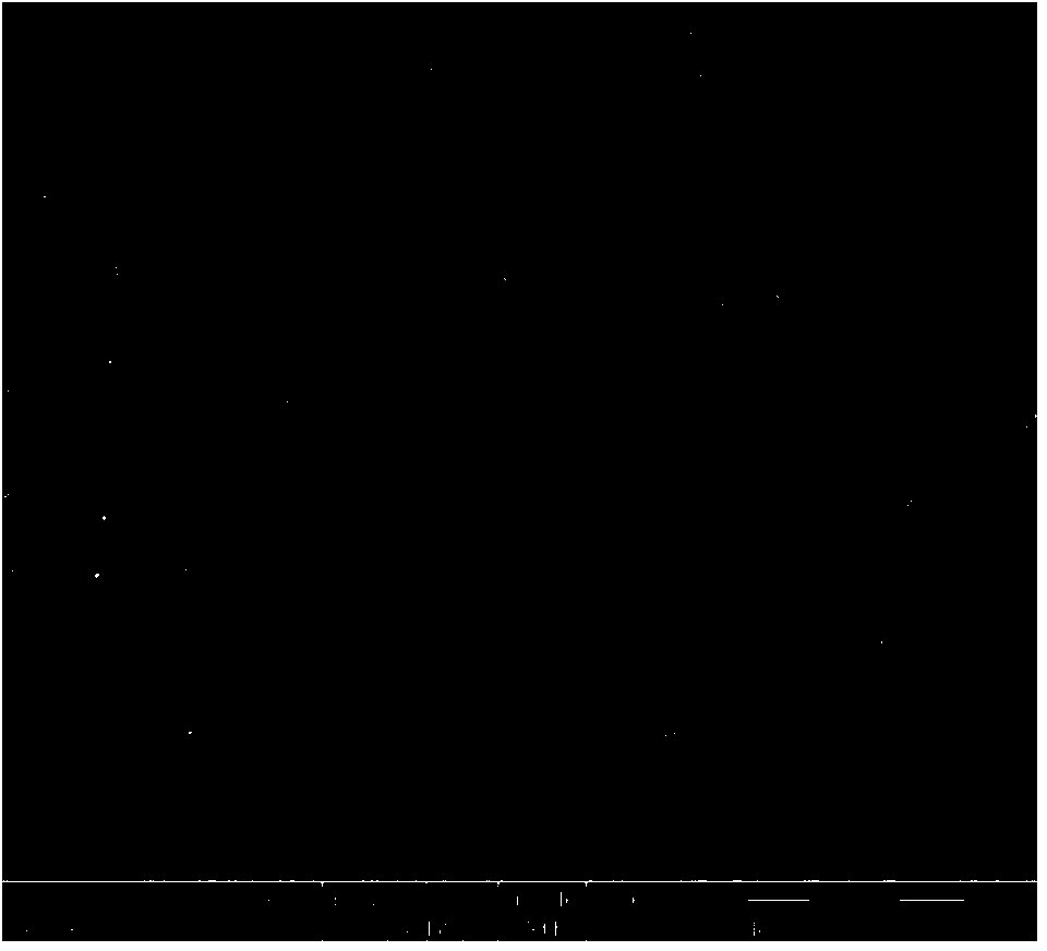 Method for quickly preparing gradient cemented carbide by adding rare-earth elements