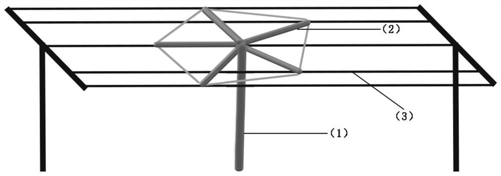 Tree-shaped planting structure and method for astral type landscape grapes