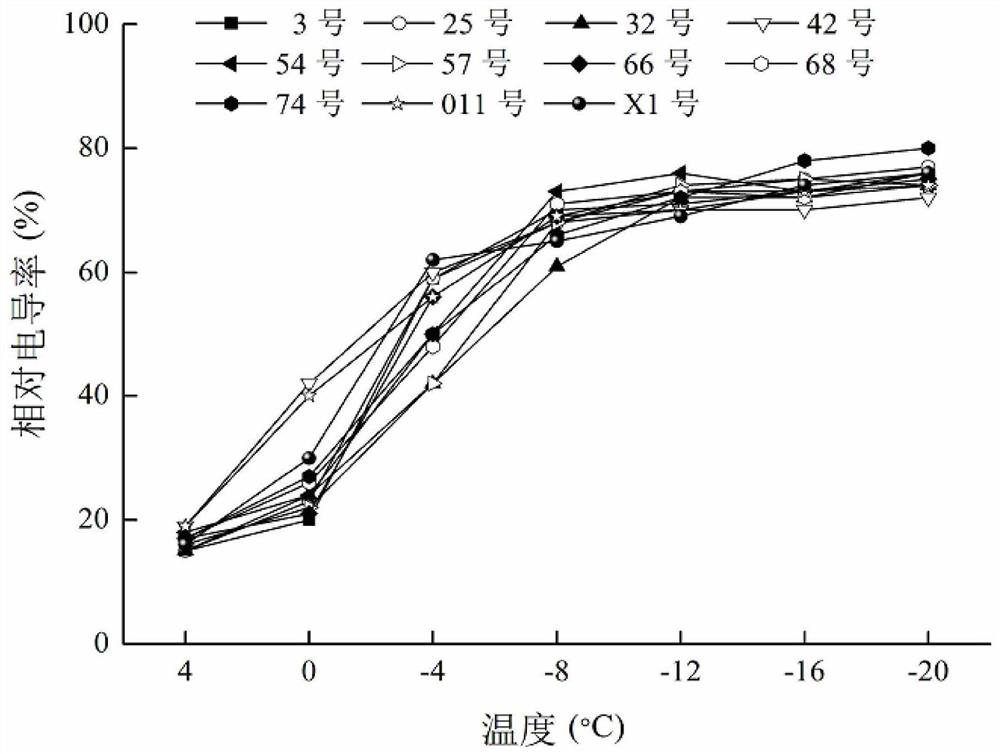 Method for quickly identifying and evaluating cold resistance of cryptomeria fortunei