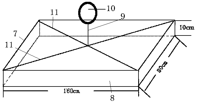 Simple greenhouse planting method for anoectochilus formosanus