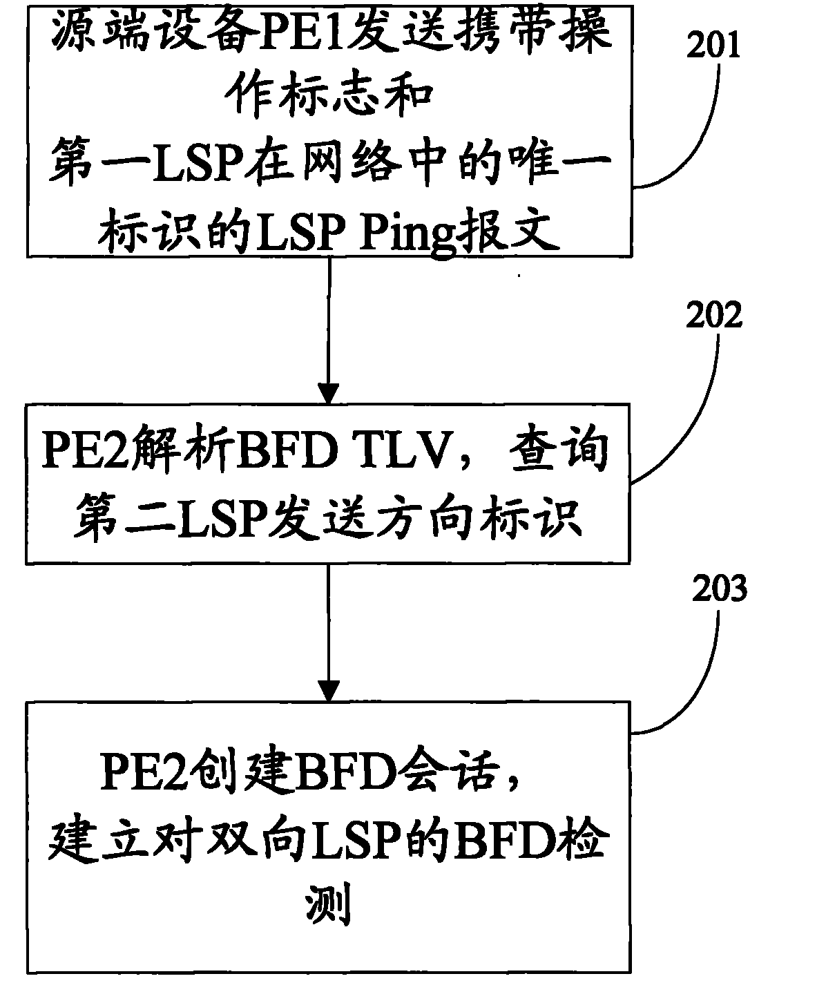 Method, system and equipment for establishing bidirectional forwarding detection (BFD) for bidirectional LSP