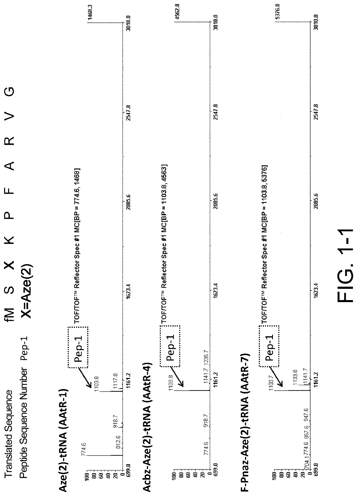 Method for synthesizing peptides in cell-free translation system