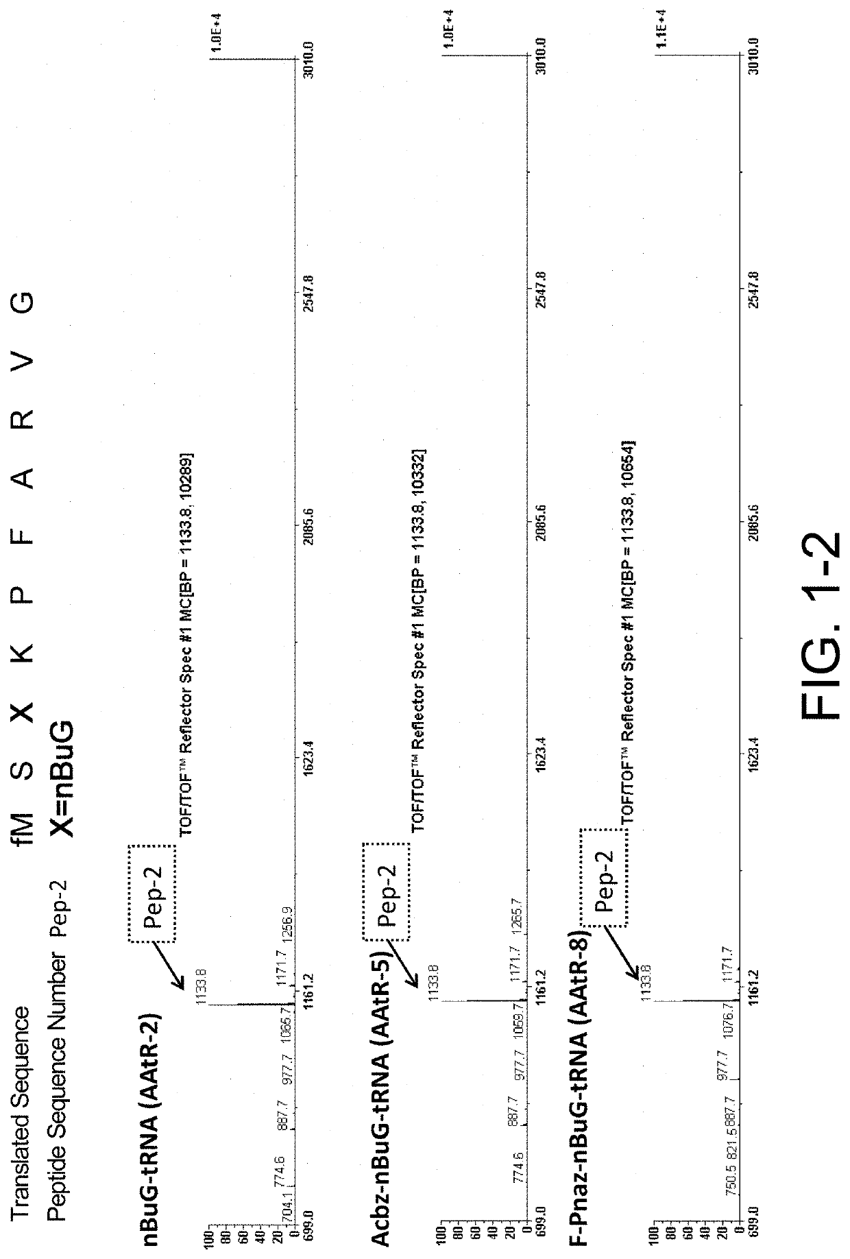 Method for synthesizing peptides in cell-free translation system