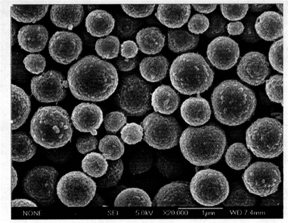 Novel adjuvant vaccine composition associated with HPV