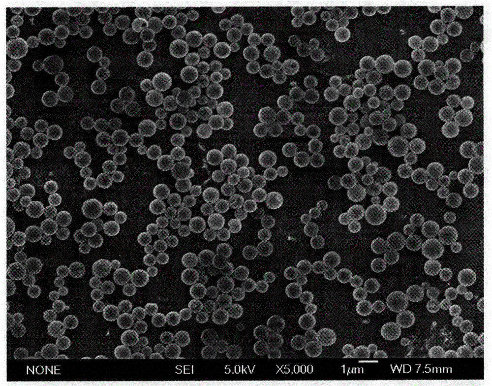 Novel adjuvant vaccine composition associated with HPV