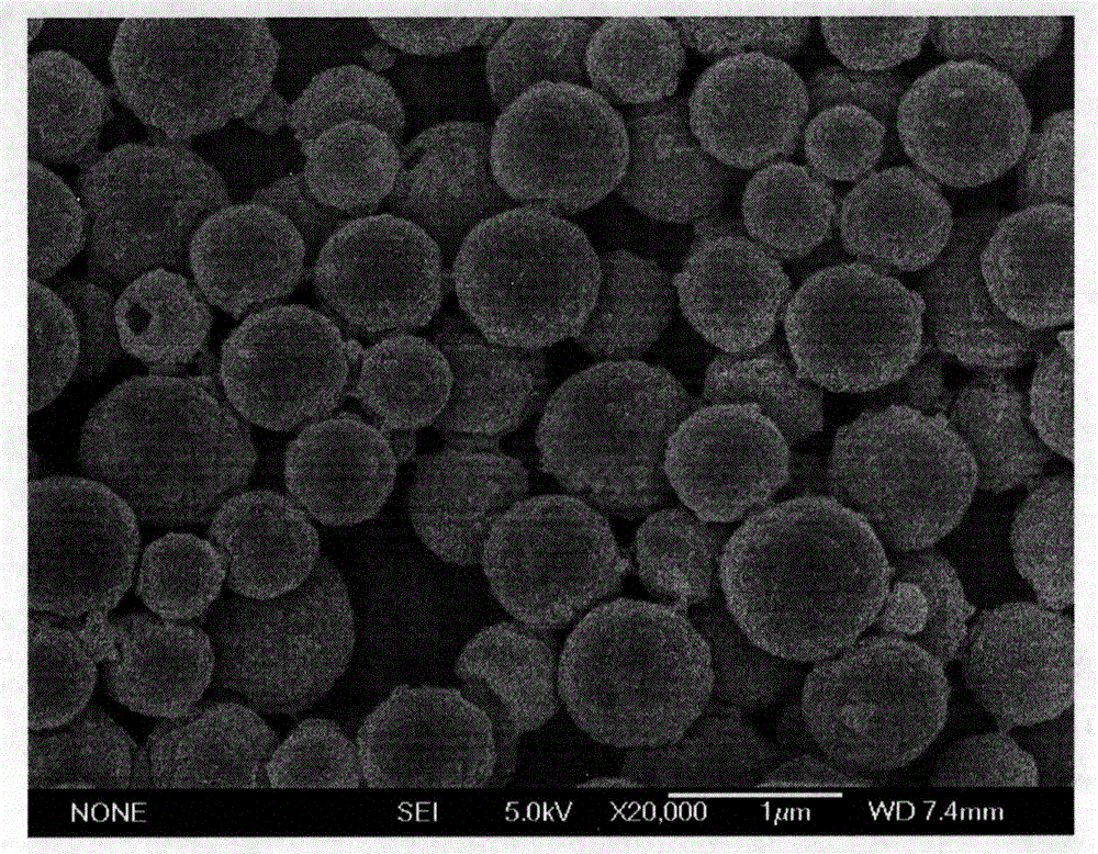 Novel adjuvant vaccine composition associated with HPV