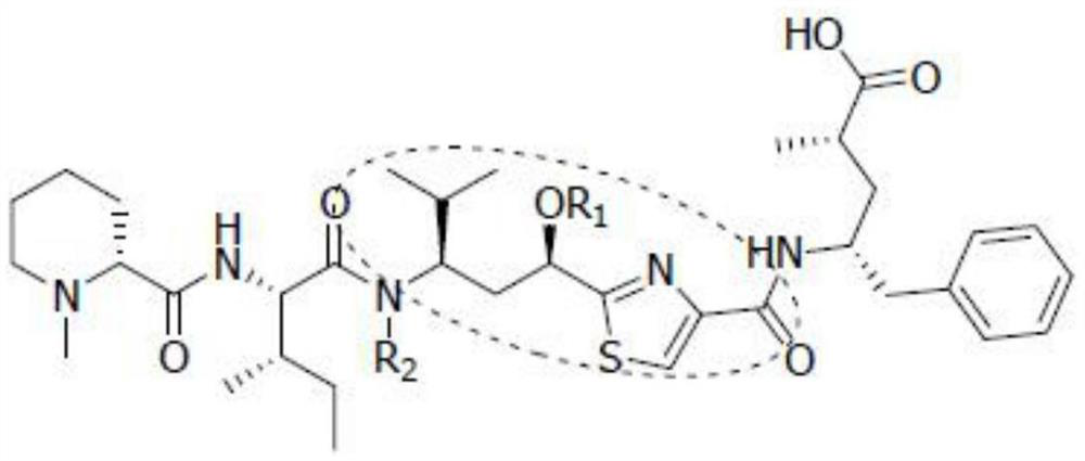 A kind of synthetic method of the key intermediate tuv of natural anticancer drug tubulysins