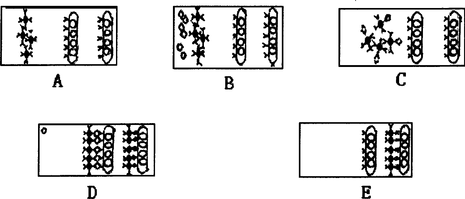 Method and system for remote online monitoring, sampling and quick inspection of bird flu