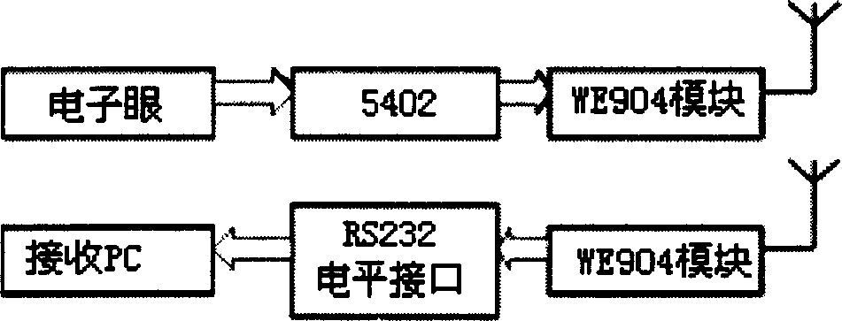 Method and system for remote online monitoring, sampling and quick inspection of bird flu