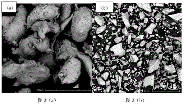 Preparation method for manufacturing rotor of phaser through powder metallurgy