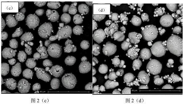 Preparation method for manufacturing rotor of phaser through powder metallurgy