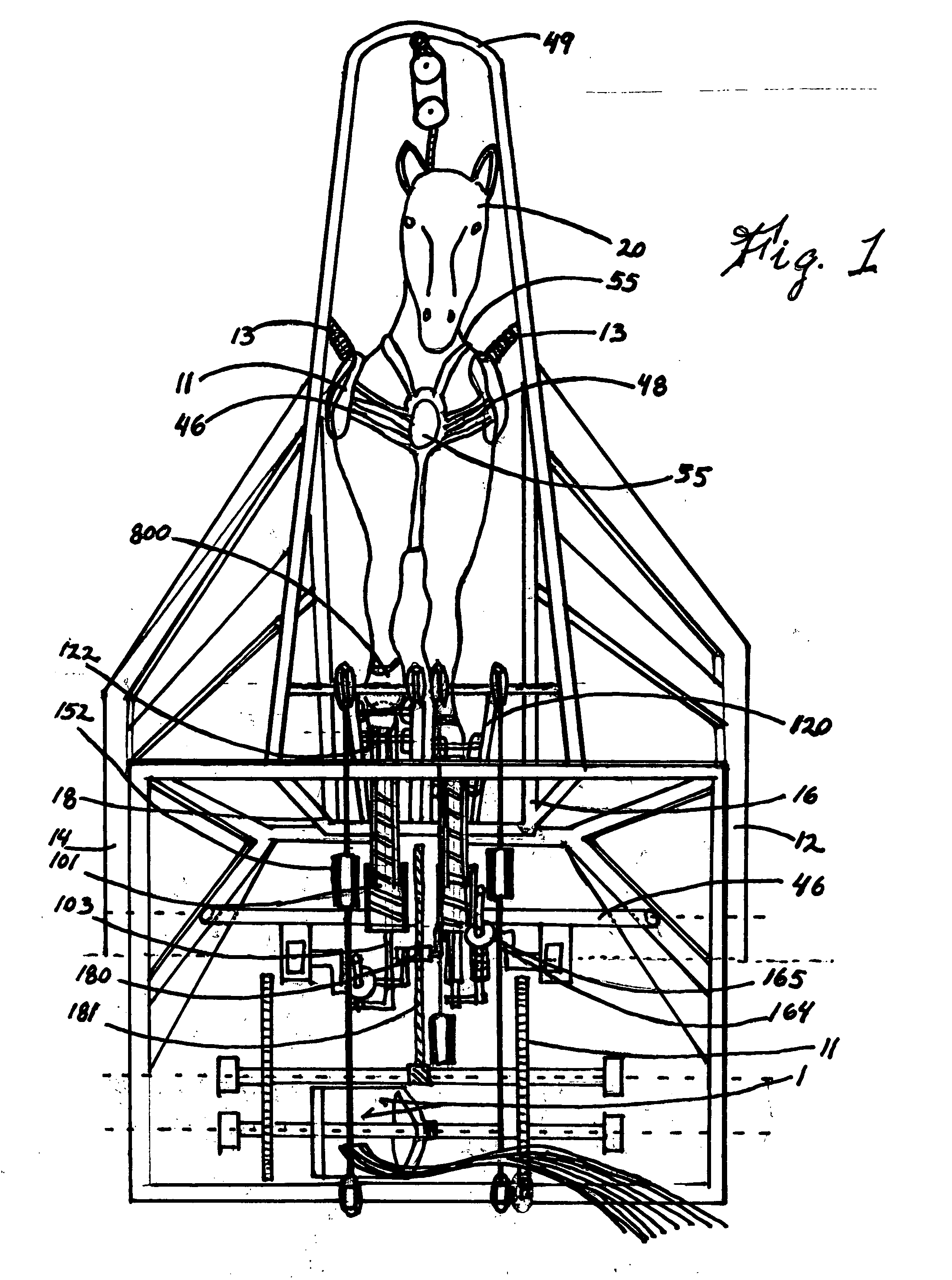 Animal powered electricity generator