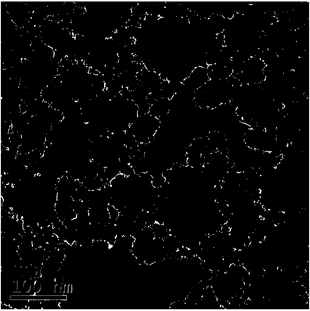 Fenton catalytic material as well as preparation method and application thereof