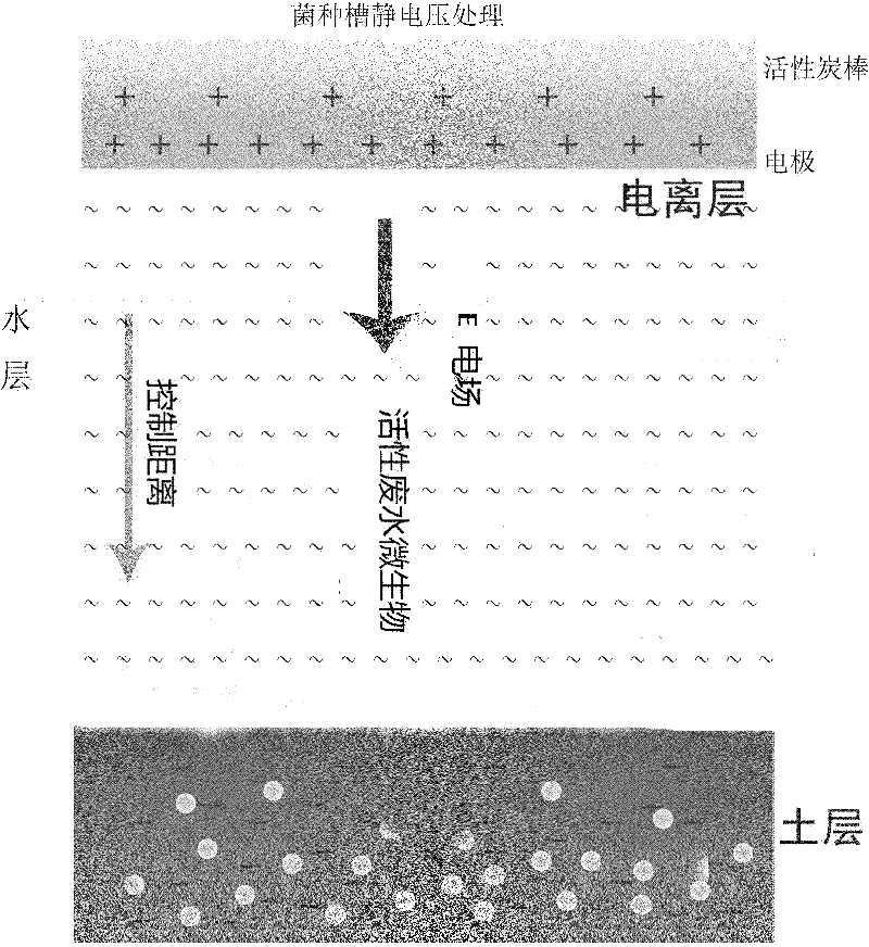 Regeneration method of activated carbon in organosilicon wastewater treatment