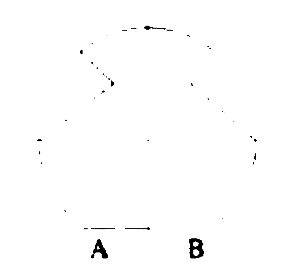 Contact wire wear detection device