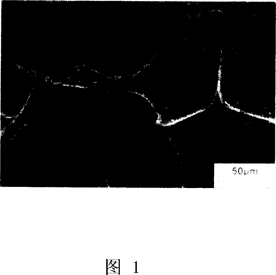 Electromagnetic shielding macromolecule composite material