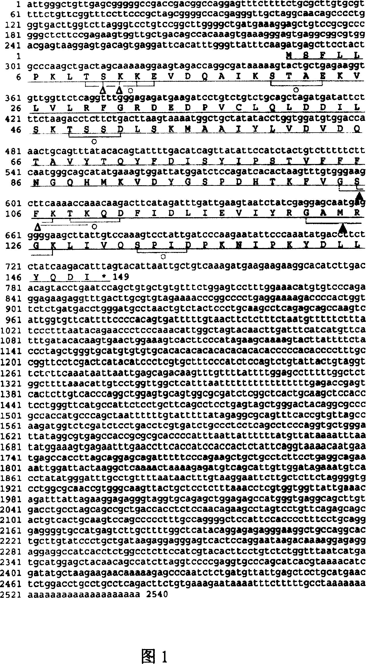 Use of DLP in Pre-mRNA splicing and cell cycle control