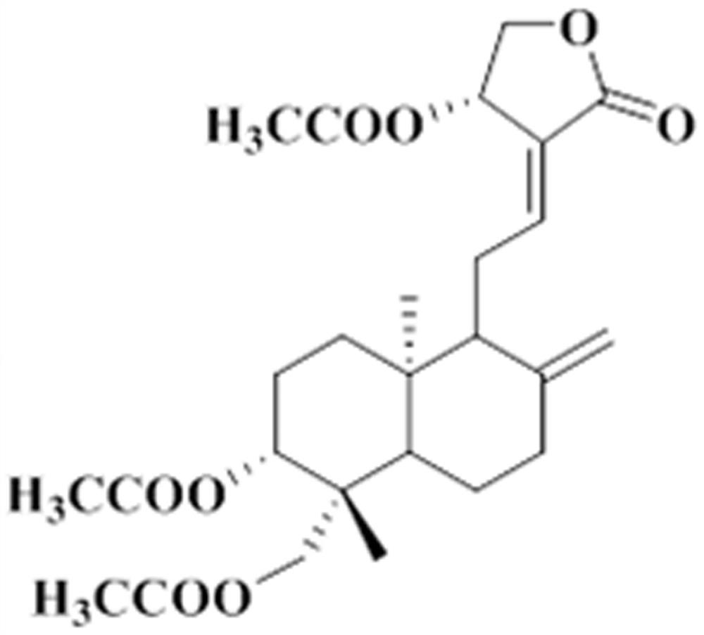 Application of triacetyl andrographolide as medicine for regulating degradation of autophagosome