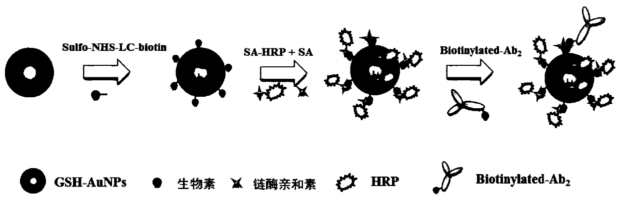 Kit for detecting carcino-embryonic antigen, detection method and application thereof