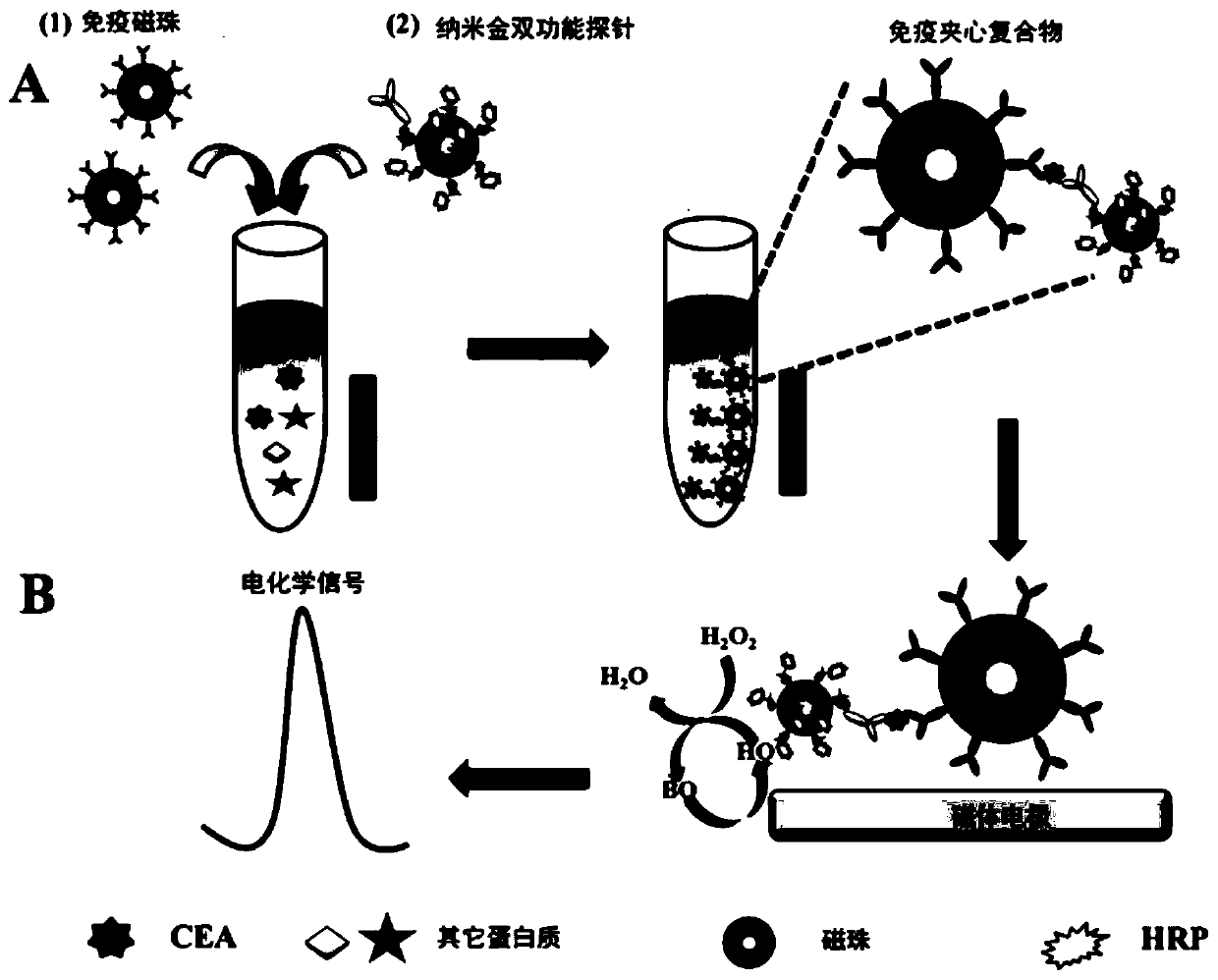 Kit for detecting carcino-embryonic antigen, detection method and application thereof