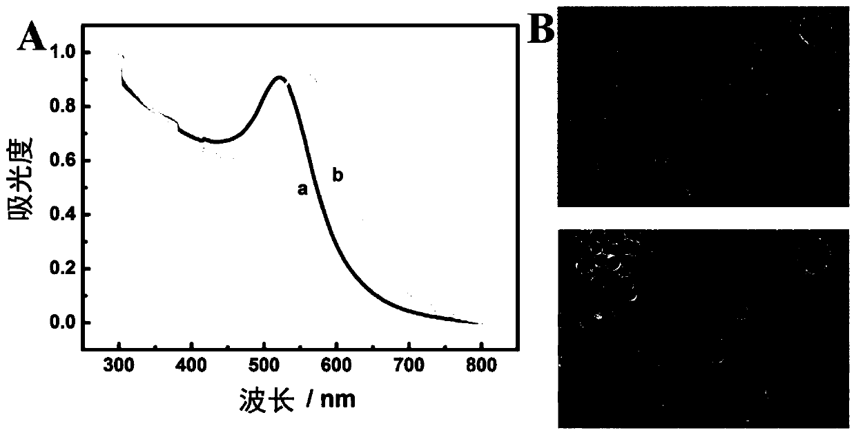 Kit for detecting carcino-embryonic antigen, detection method and application thereof