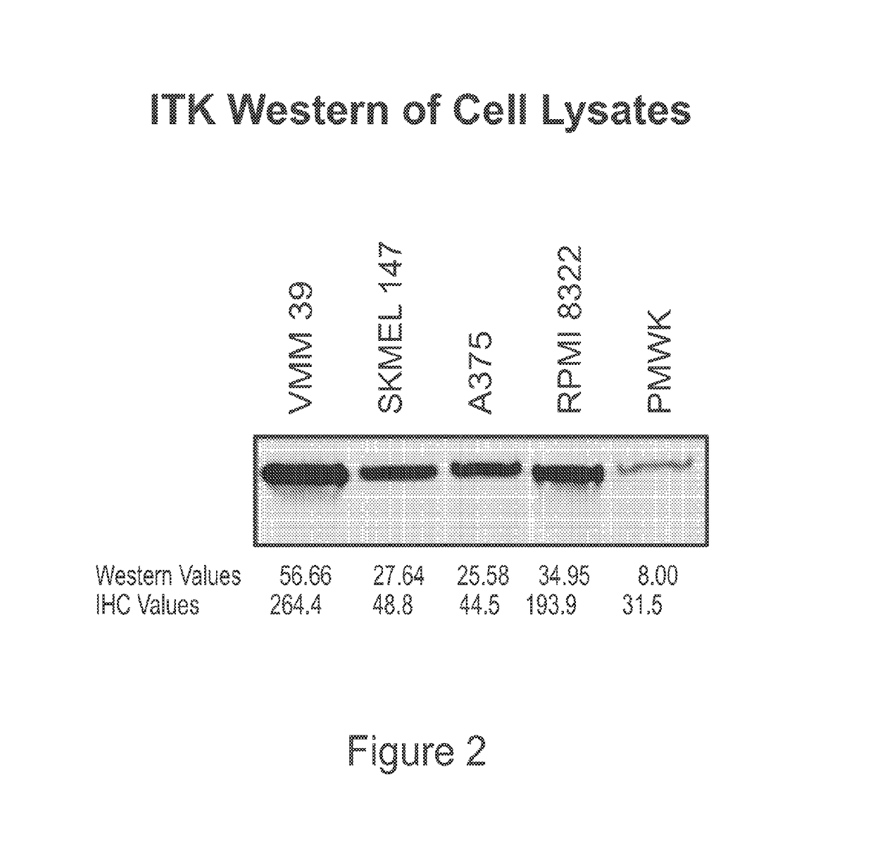 Use of ITK inhibitors for the treatment of cancer