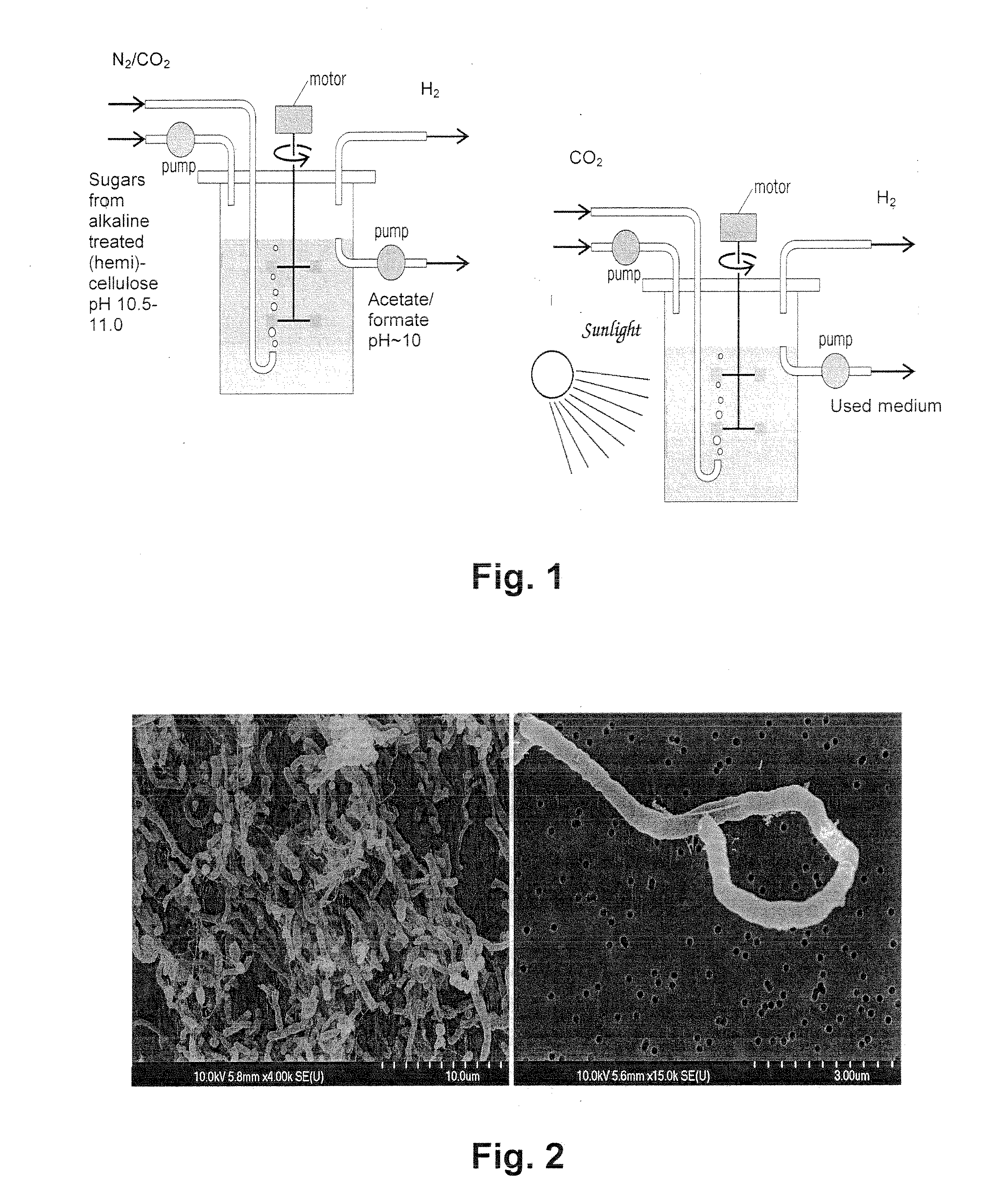 Fossil fuel-free process of lignocellulosic pretreatment with biological hydrogen production