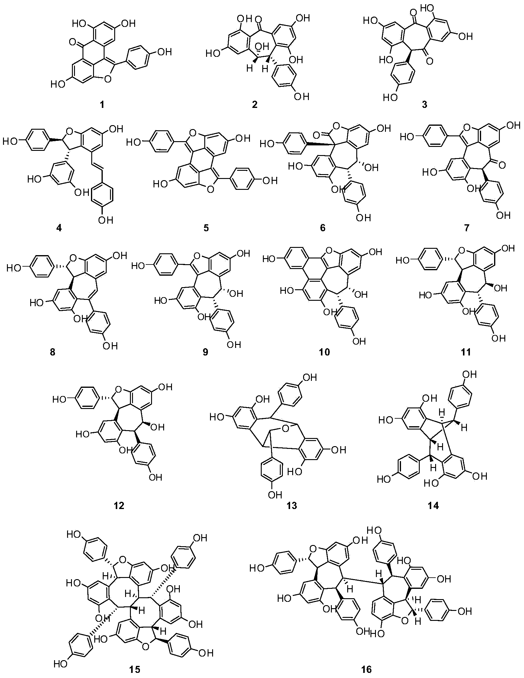 Preparation method of Hainan green plum stem extractive with function of scavenging free radicals