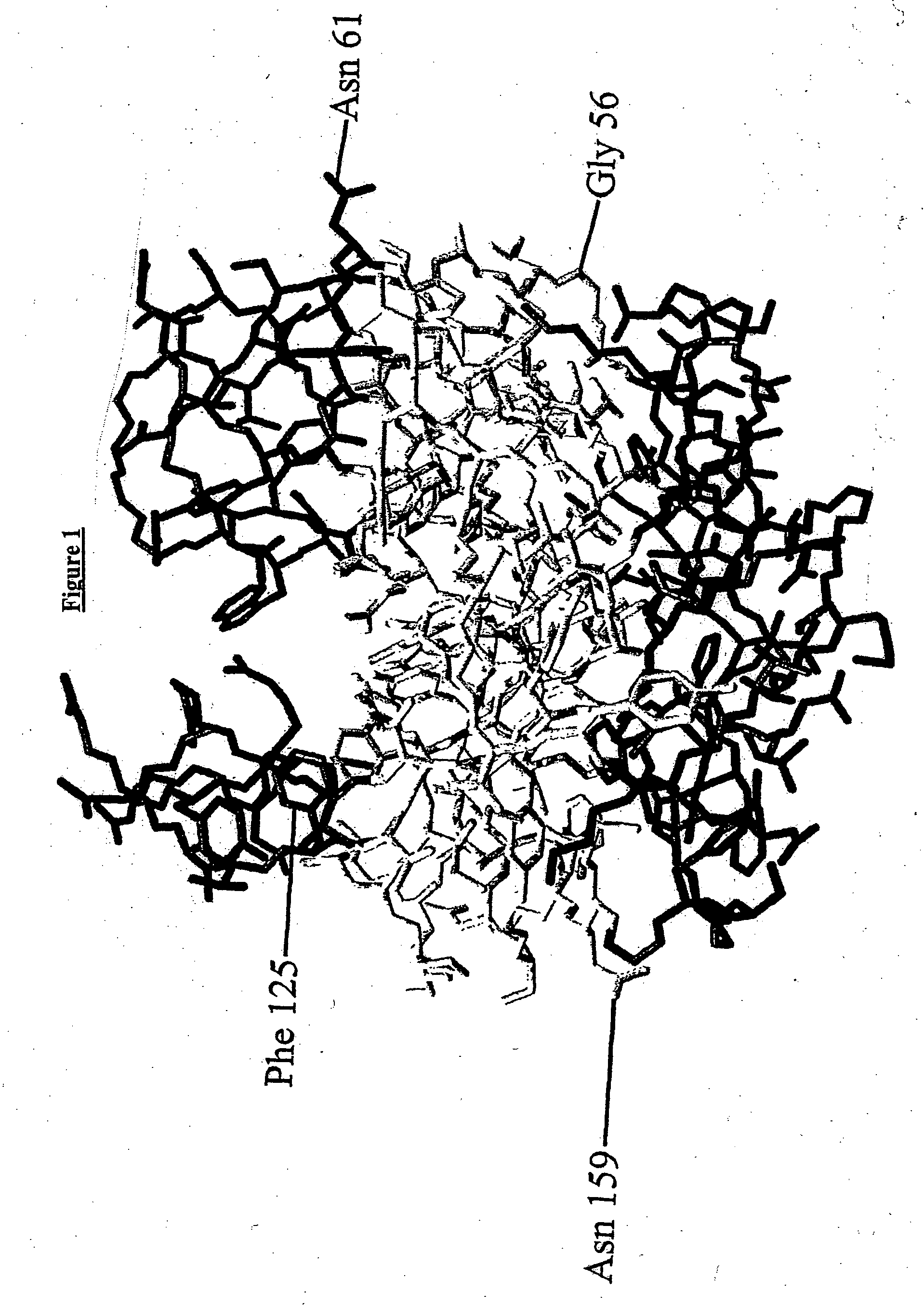 Enzyme