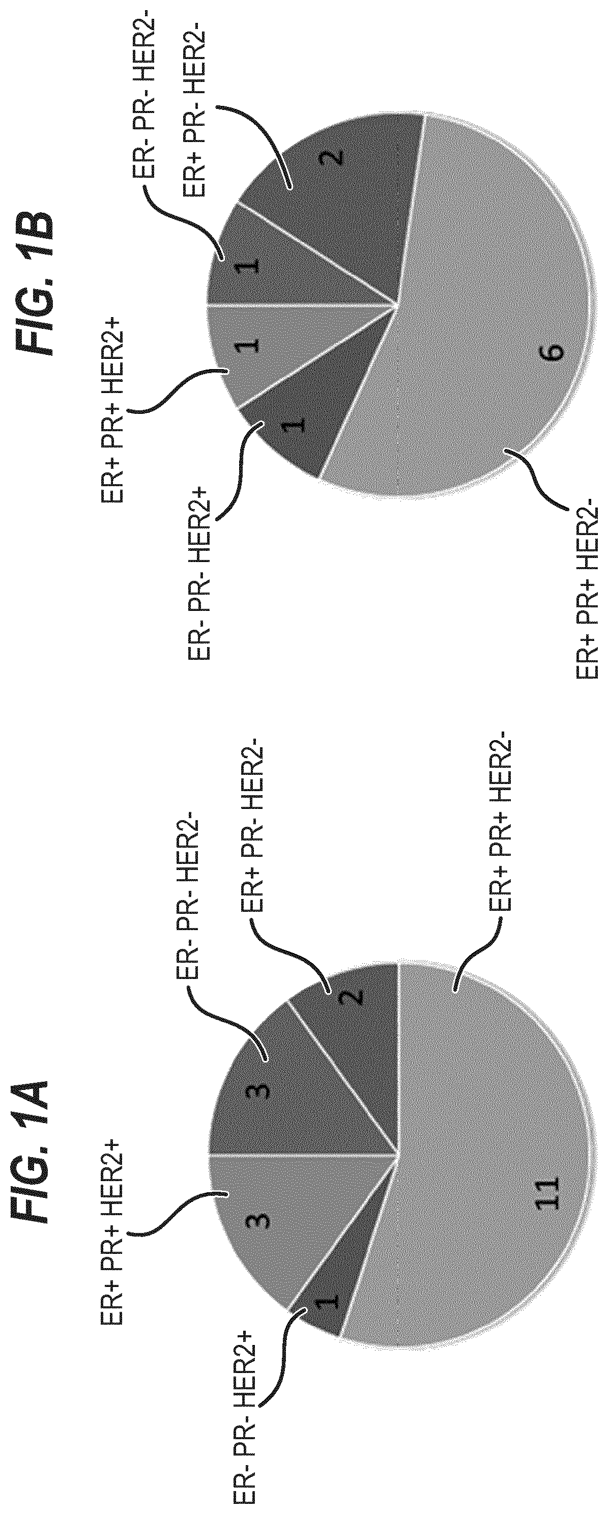 Culture medium for expanding breast epithelial stem cells