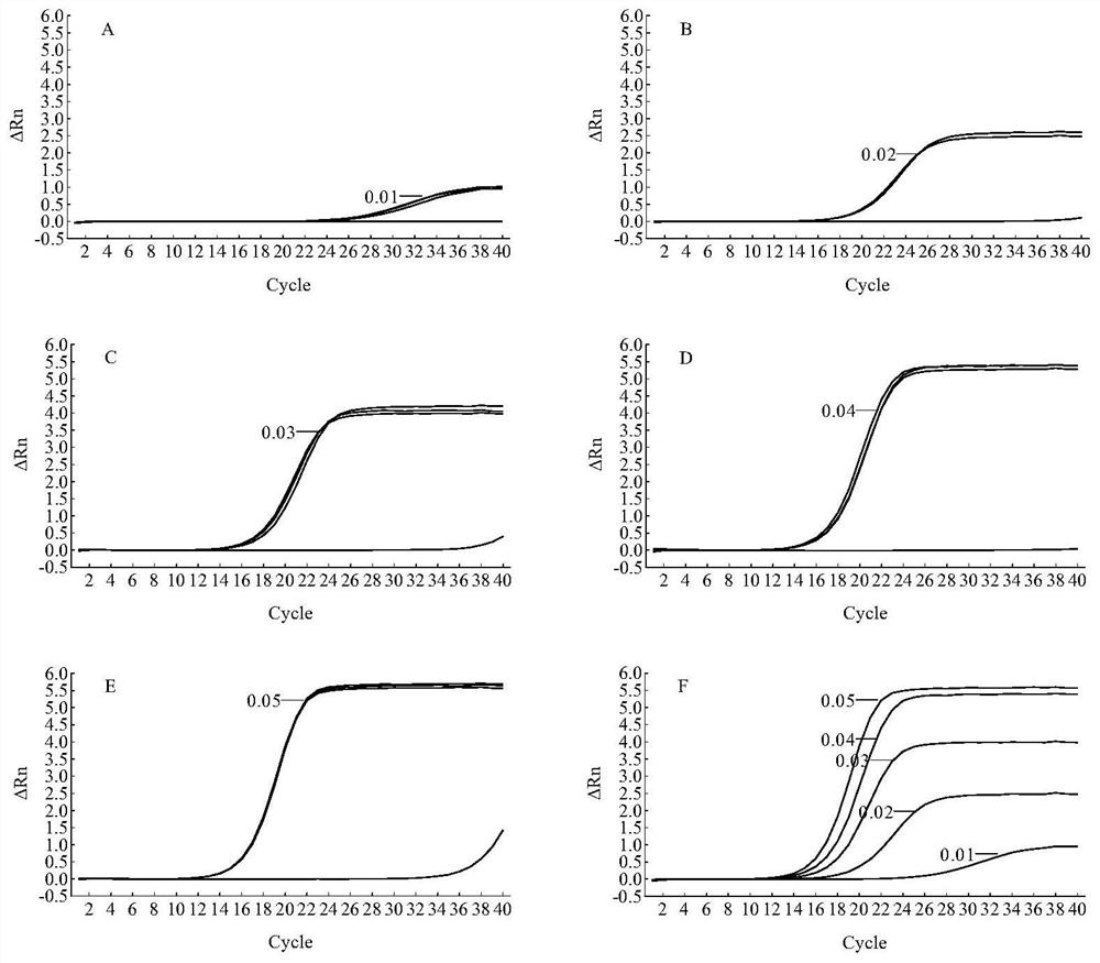 Specific target, primer, detection method and application for detecting vibrio parahaemolyticus