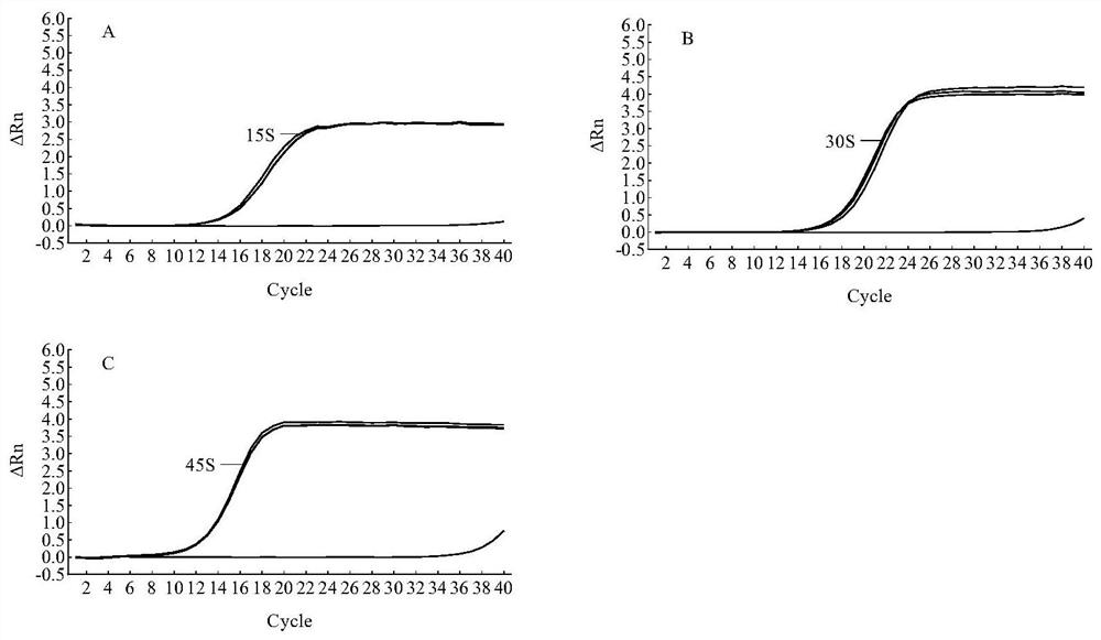 Specific target, primer, detection method and application for detecting vibrio parahaemolyticus