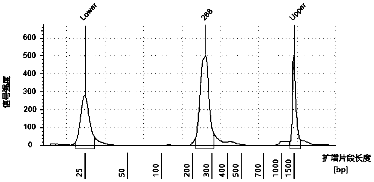 One-step rapid construction of primer sets for amplicon libraries