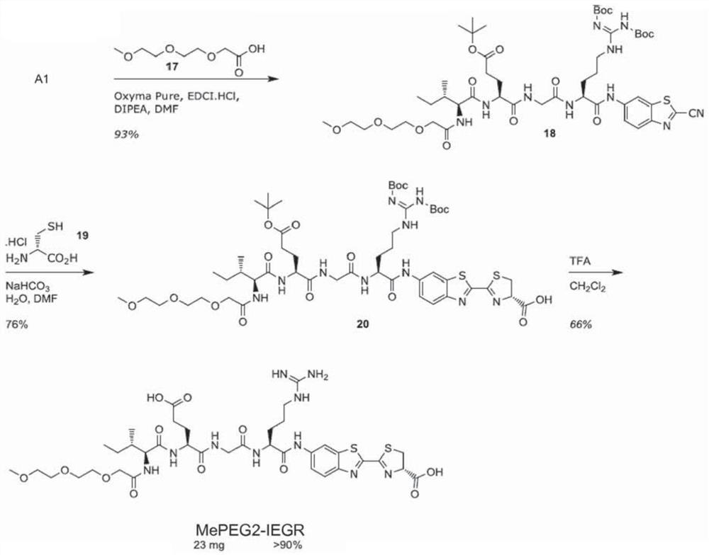 Novel chemiluminescent substrates for factor xa