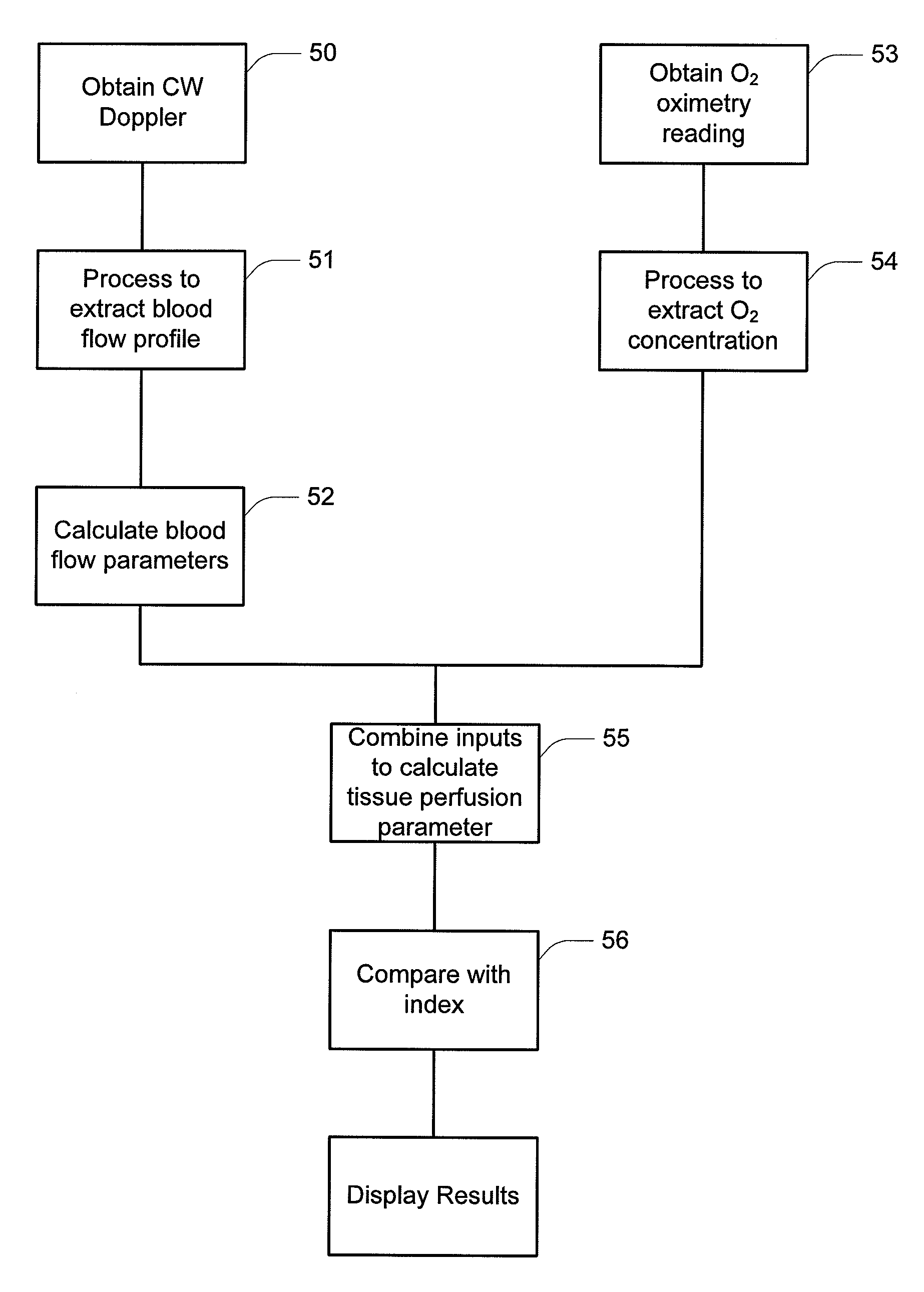 Blood flow oxygen measurement system and method