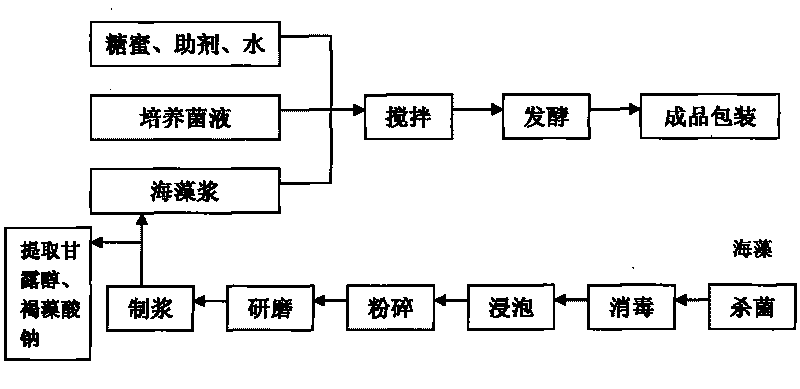 Liquid seaweed bio-fungus and preparation process thereof