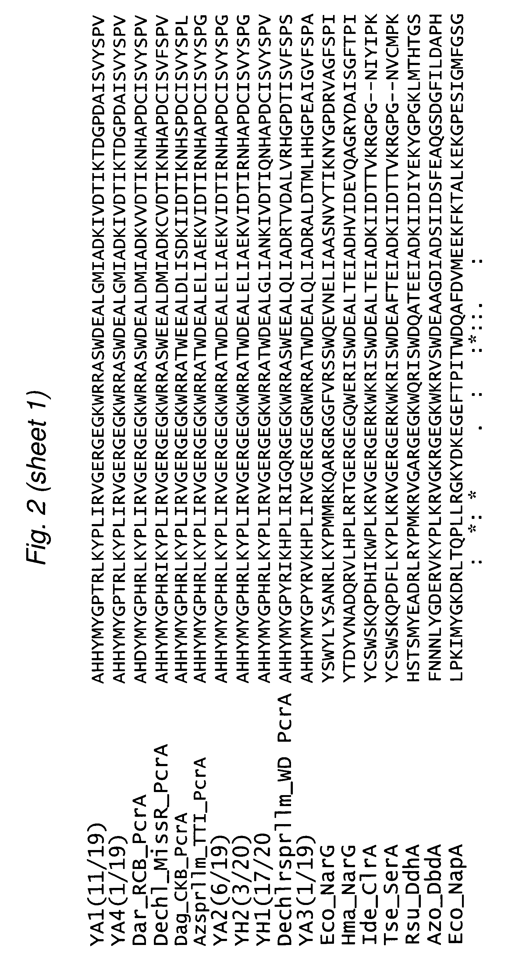 Method for detecting and quantifying perchlorate-reducing bacteria