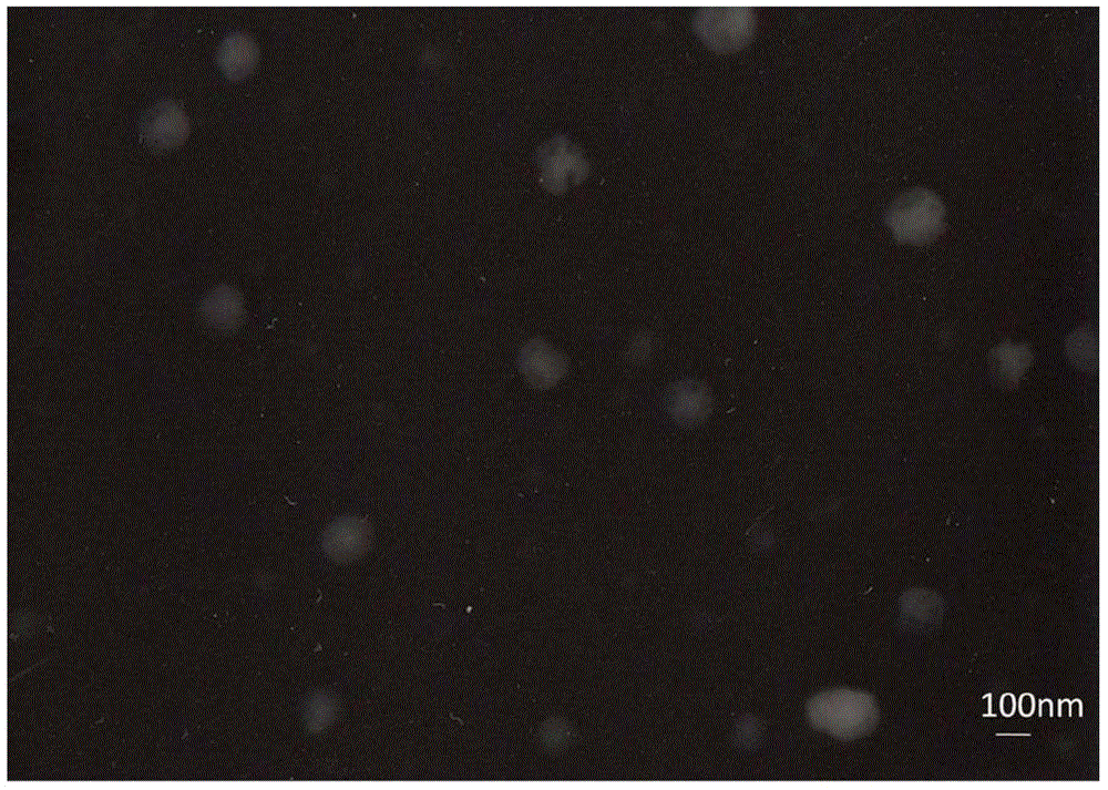 Preparation method of active targeting adriamycin amycin-amphipathic chondroitin sulfate micelle