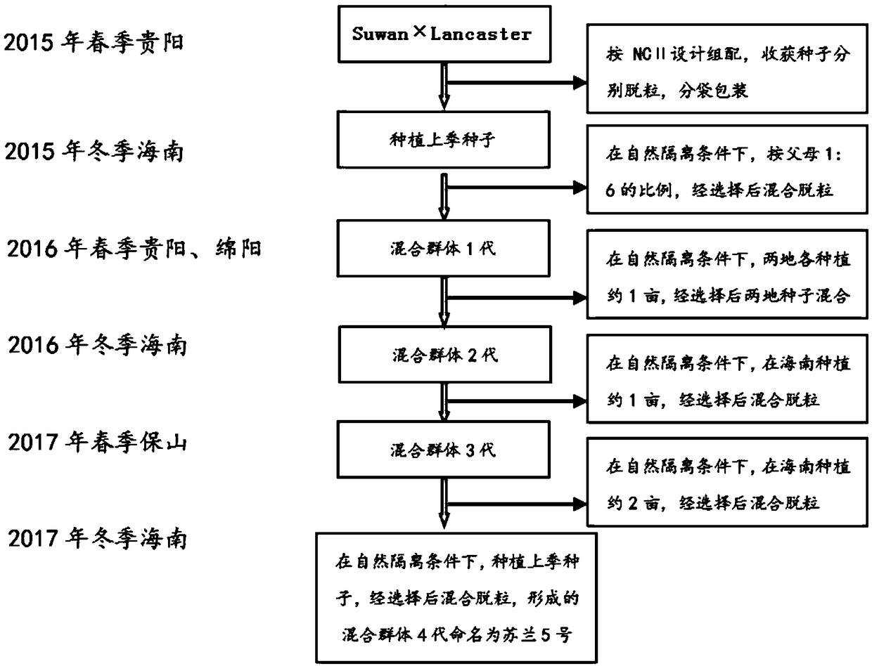 Corn population artificial synthesis method for genetic breeding