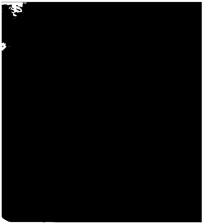 Chitosan microsphere composition loaded with stem cell active factors and preparation method and application thereof