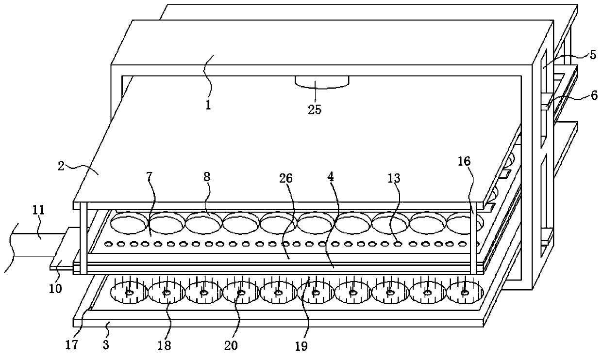 Static-state-drying-based food processing device for Chinese date processing