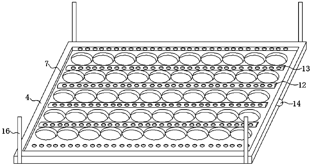 Static-state-drying-based food processing device for Chinese date processing