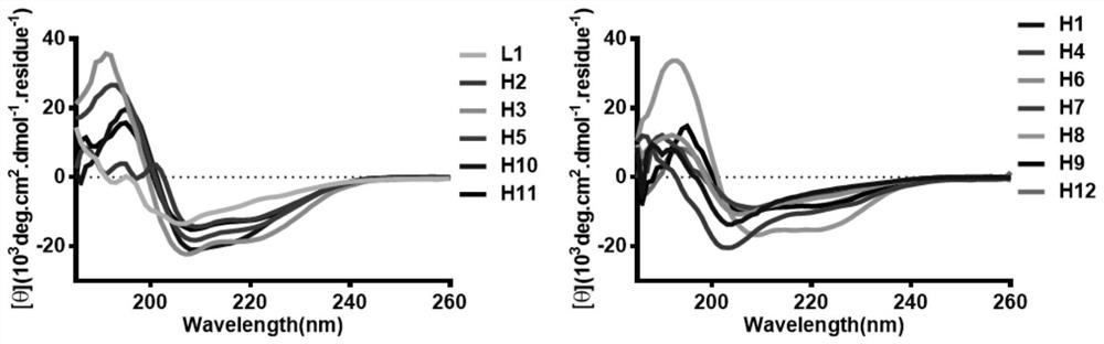 [alpha]-helical peptide inhibitor for targeting HRas protein, and purpose of [alpha]-helical peptide inhibitor