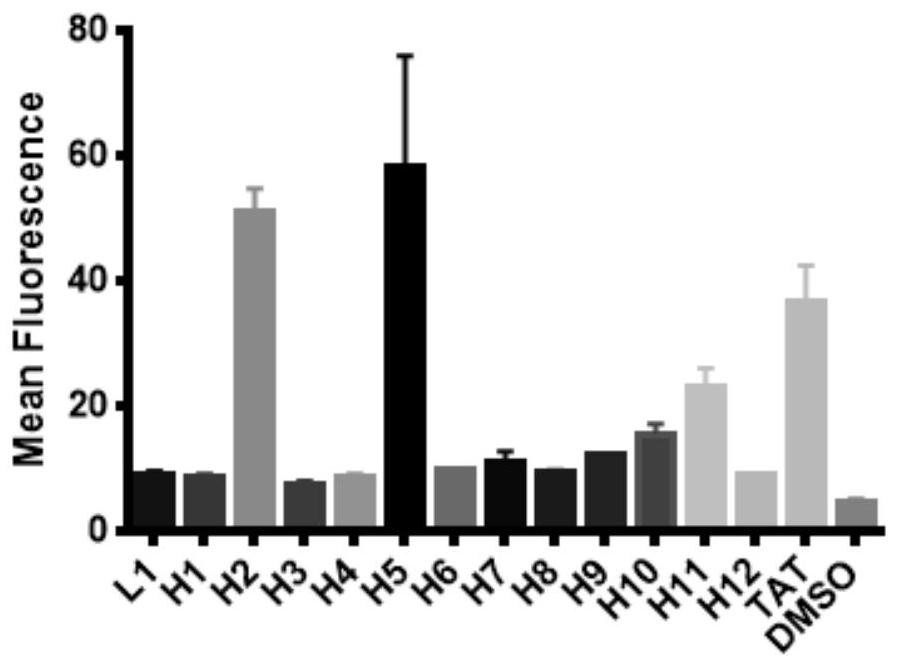 [alpha]-helical peptide inhibitor for targeting HRas protein, and purpose of [alpha]-helical peptide inhibitor